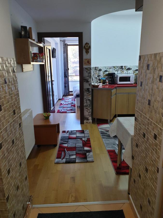 Sophie Apartament Apartment ซินายา ภายนอก รูปภาพ