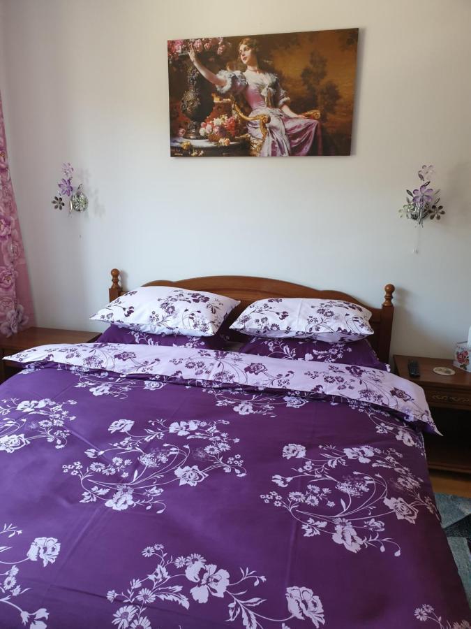 Sophie Apartament Apartment ซินายา ภายนอก รูปภาพ