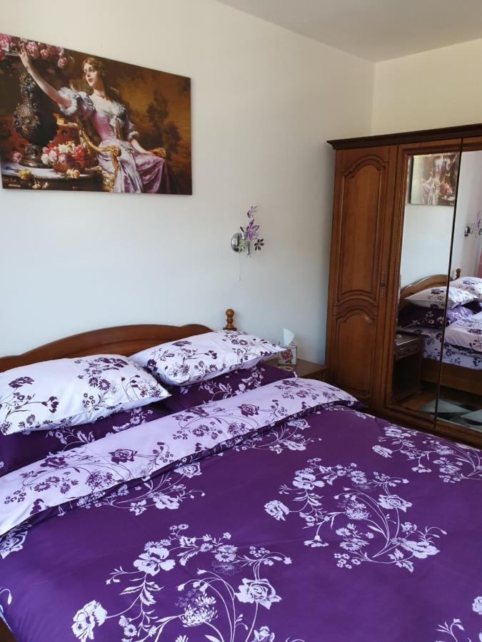 Sophie Apartament Apartment ซินายา ภายนอก รูปภาพ