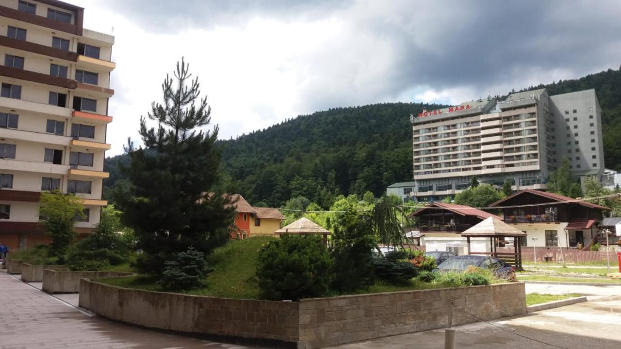 Sophie Apartament Apartment ซินายา ภายนอก รูปภาพ