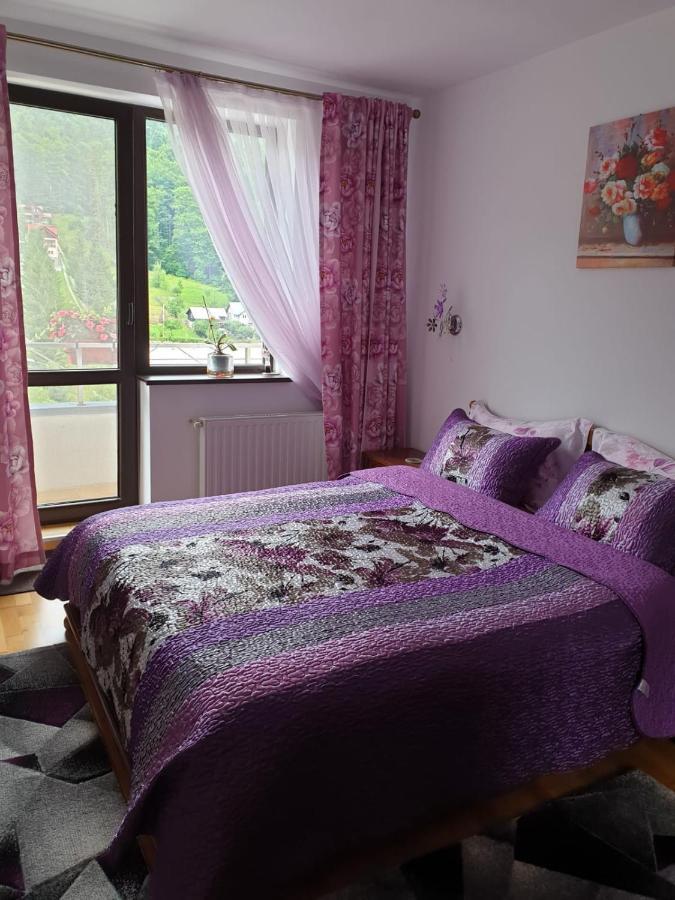 Sophie Apartament Apartment ซินายา ภายนอก รูปภาพ