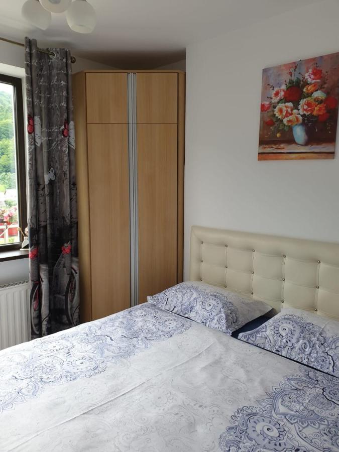 Sophie Apartament Apartment ซินายา ภายนอก รูปภาพ
