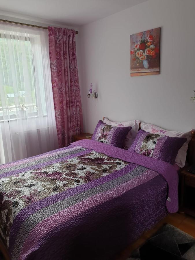 Sophie Apartament Apartment ซินายา ภายนอก รูปภาพ