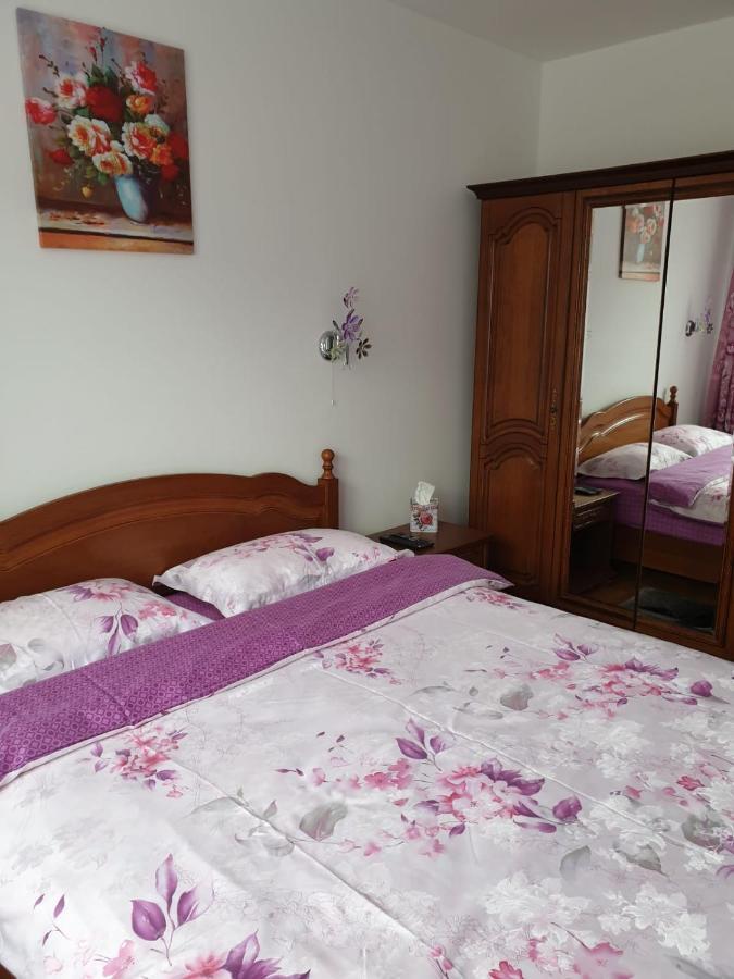 Sophie Apartament Apartment ซินายา ภายนอก รูปภาพ