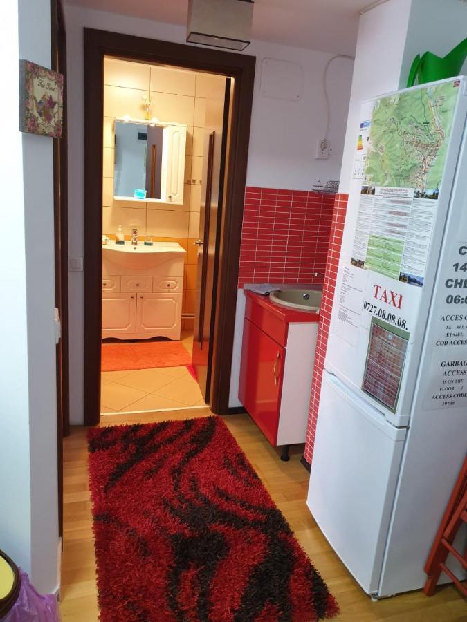 Sophie Apartament Apartment ซินายา ภายนอก รูปภาพ