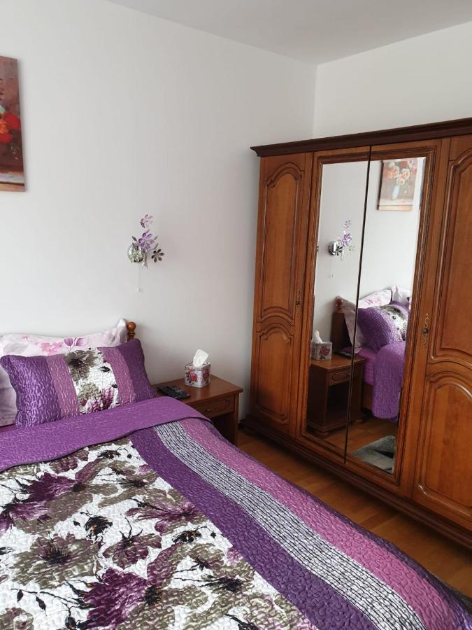 Sophie Apartament Apartment ซินายา ภายนอก รูปภาพ