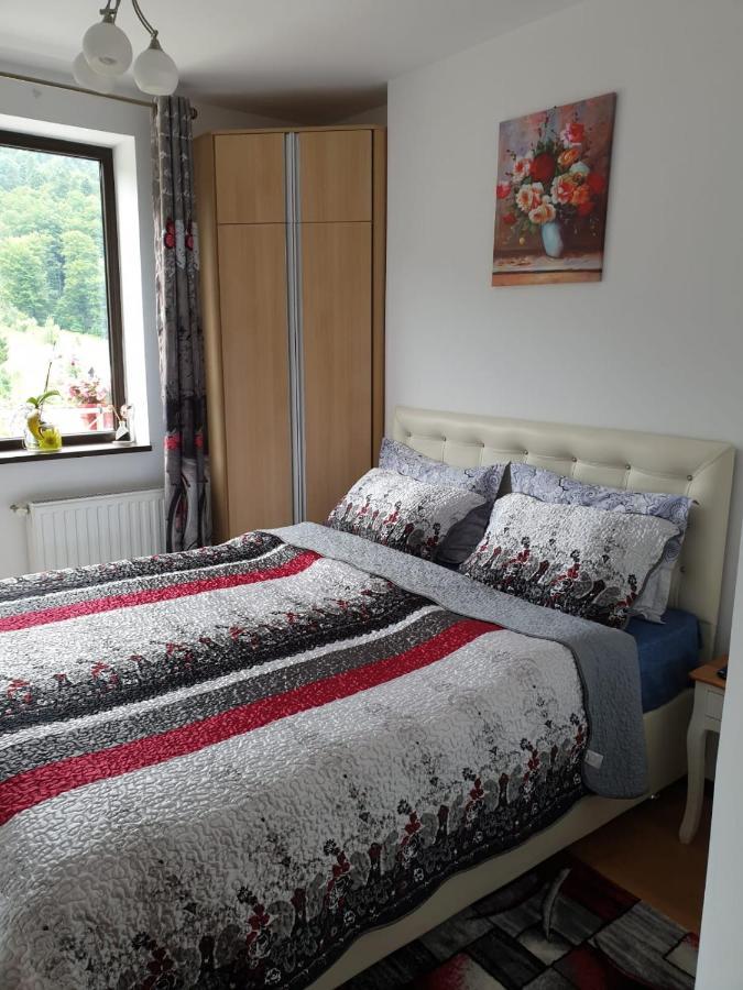Sophie Apartament Apartment ซินายา ภายนอก รูปภาพ