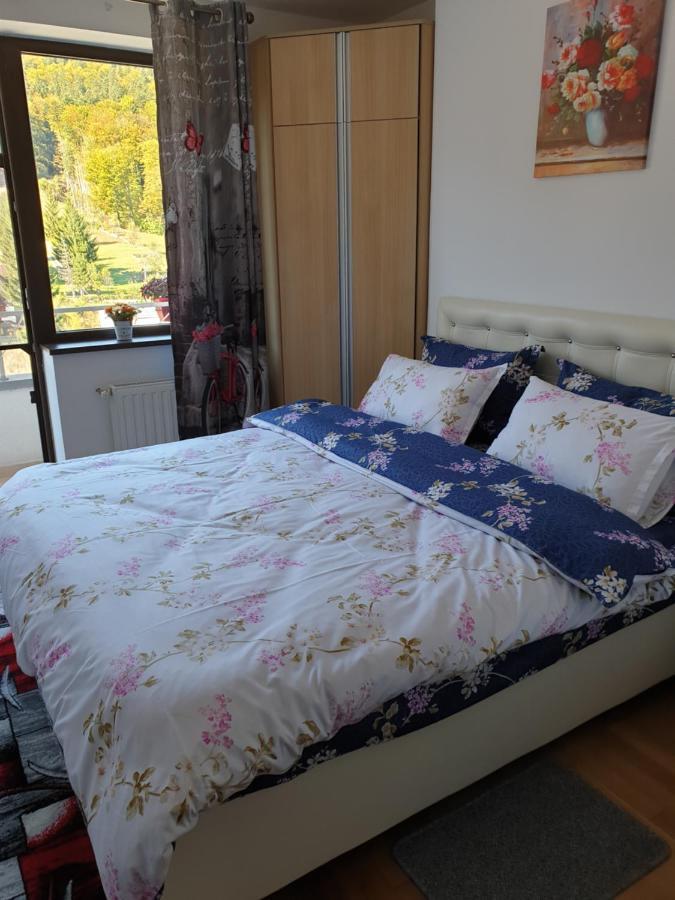 Sophie Apartament Apartment ซินายา ภายนอก รูปภาพ