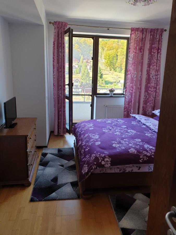 Sophie Apartament Apartment ซินายา ภายนอก รูปภาพ