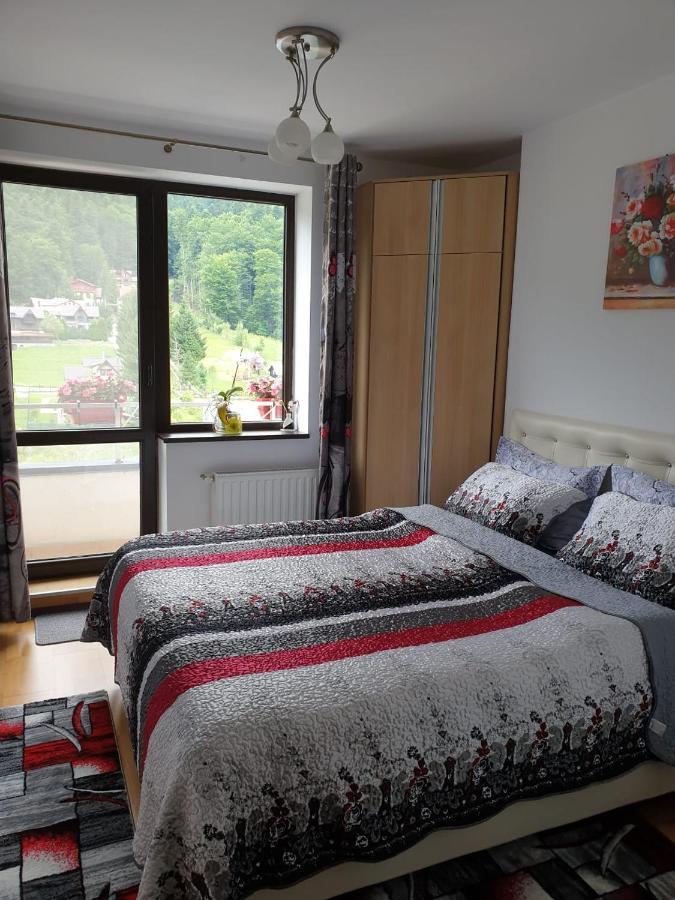 Sophie Apartament Apartment ซินายา ภายนอก รูปภาพ