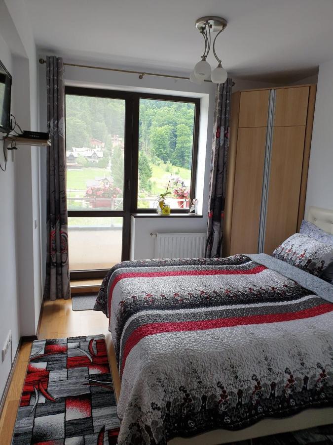 Sophie Apartament Apartment ซินายา ภายนอก รูปภาพ