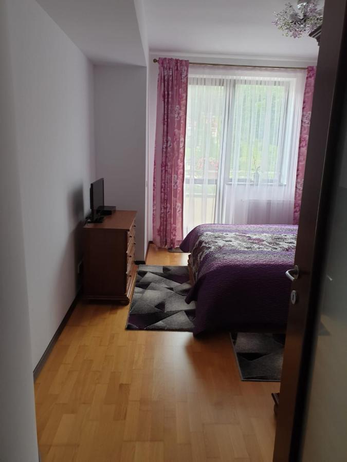 Sophie Apartament Apartment ซินายา ภายนอก รูปภาพ