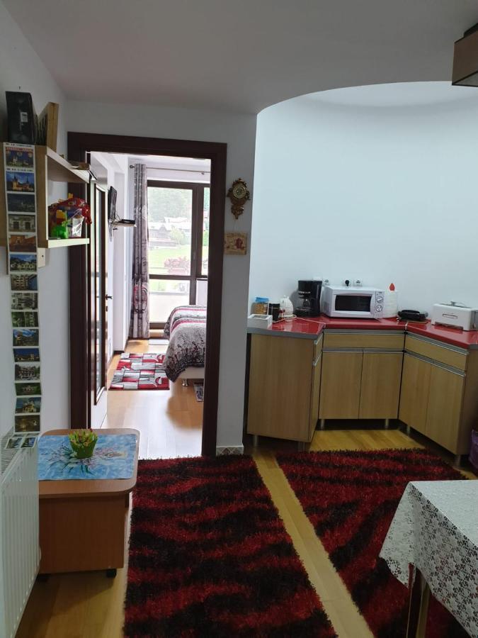 Sophie Apartament Apartment ซินายา ภายนอก รูปภาพ