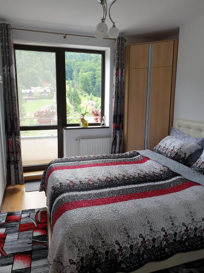 Sophie Apartament Apartment ซินายา ภายนอก รูปภาพ