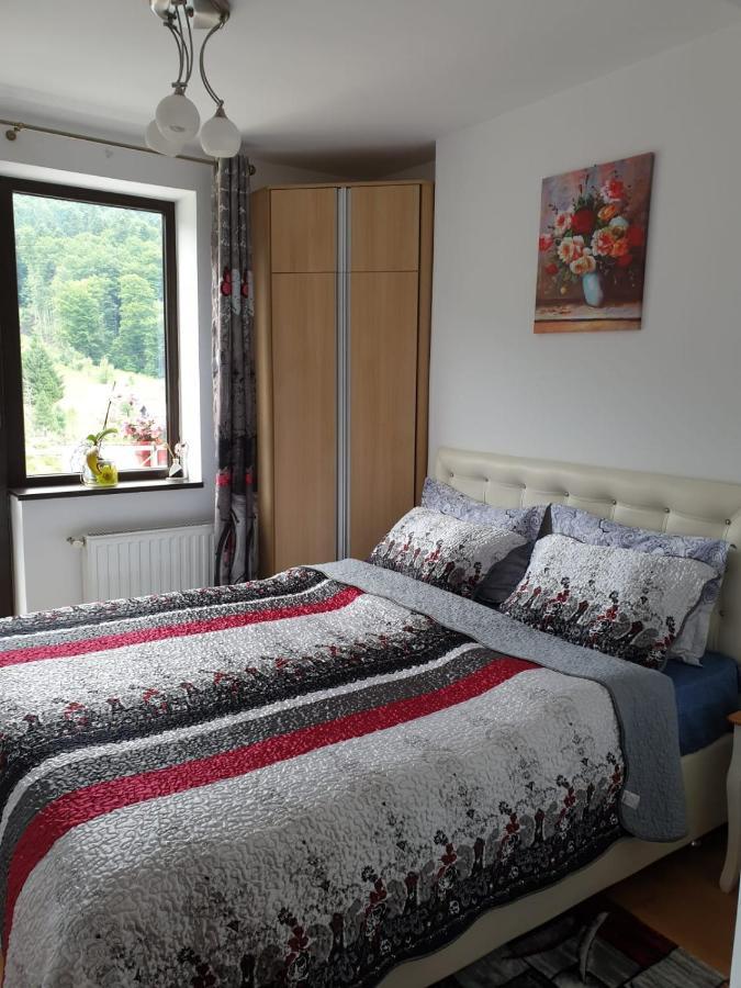 Sophie Apartament Apartment ซินายา ภายนอก รูปภาพ
