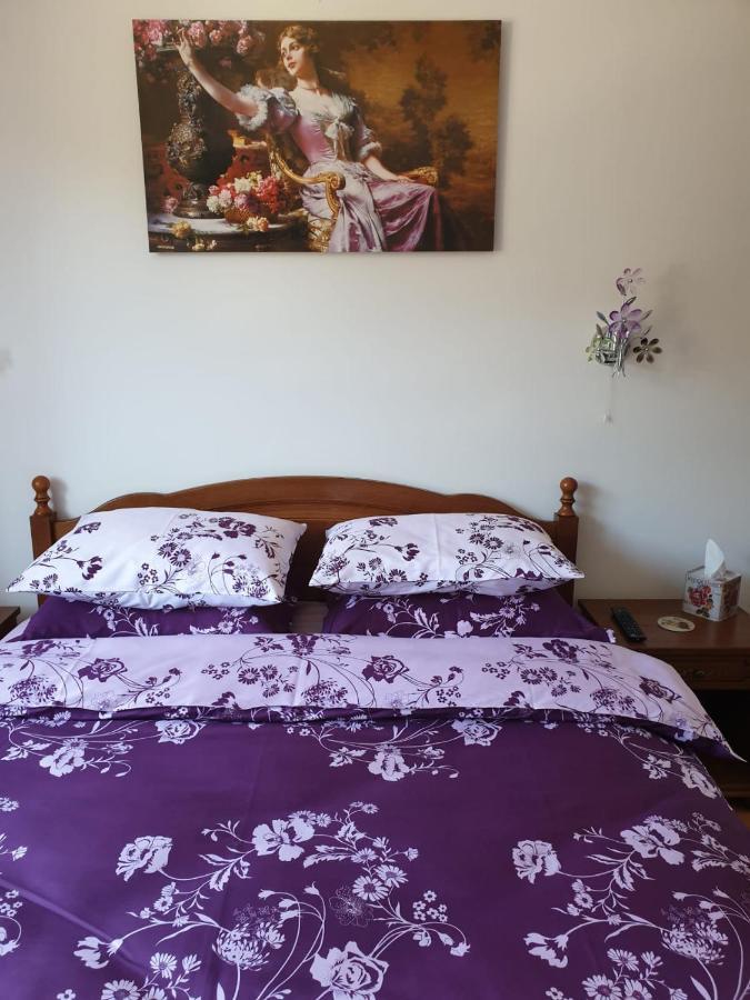 Sophie Apartament Apartment ซินายา ภายนอก รูปภาพ