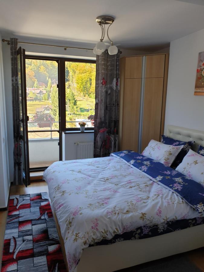 Sophie Apartament Apartment ซินายา ภายนอก รูปภาพ
