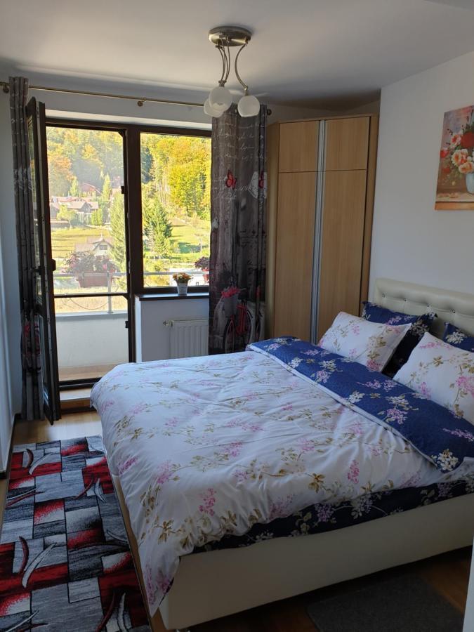 Sophie Apartament Apartment ซินายา ภายนอก รูปภาพ