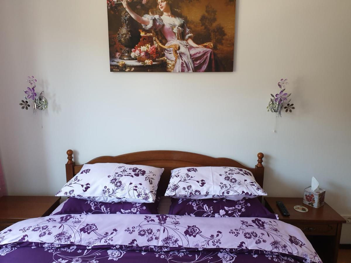 Sophie Apartament Apartment ซินายา ภายนอก รูปภาพ