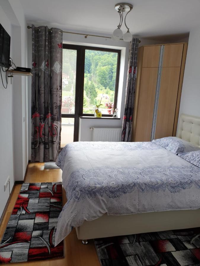 Sophie Apartament Apartment ซินายา ภายนอก รูปภาพ